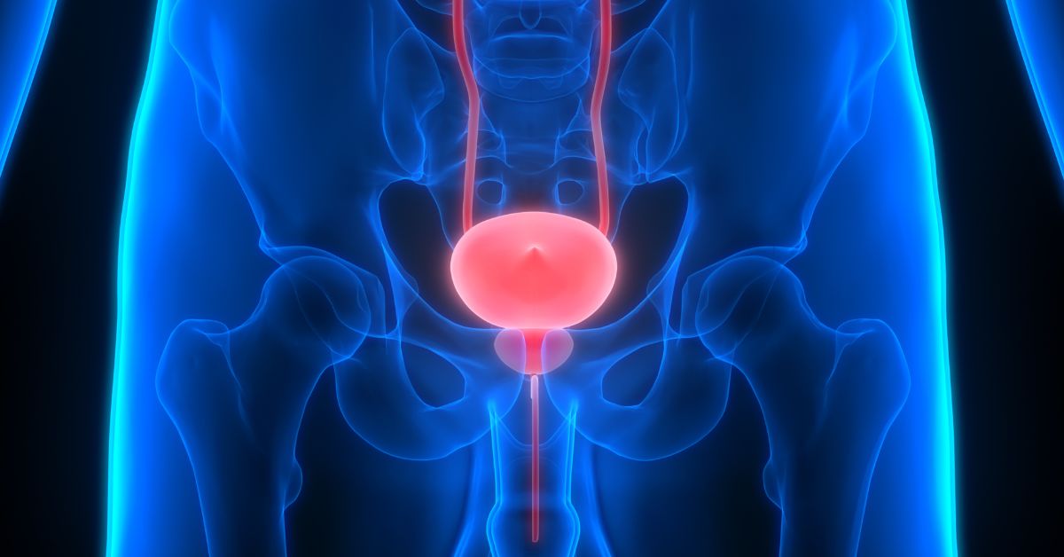 Prostata: gdzie jest i jak o nią dbać? Objawy przerostu + leczenie