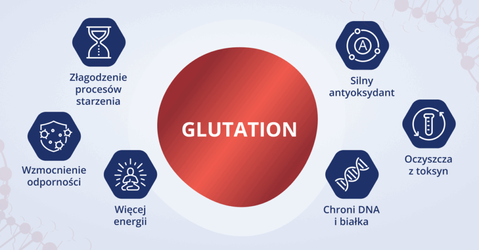Infografika prezentująca właściwości glutationu