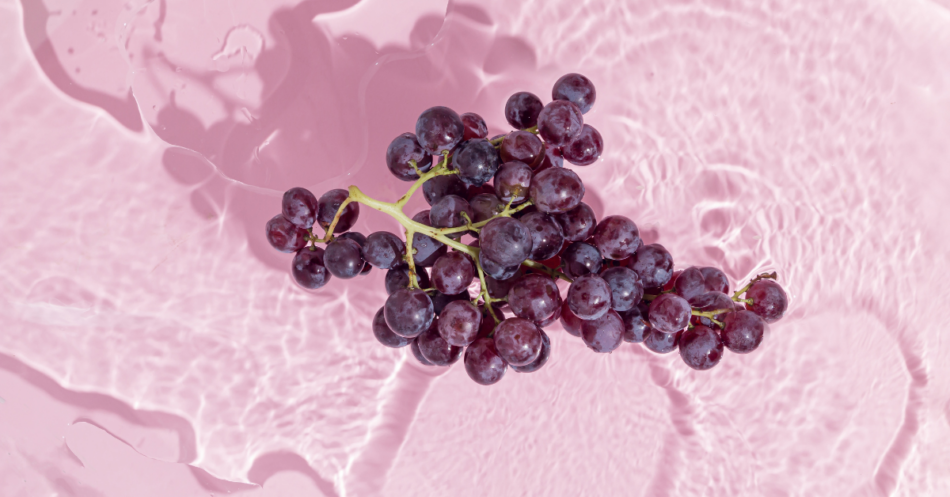 Czerwone winogrona są doskonałym źródłem resweratrolu